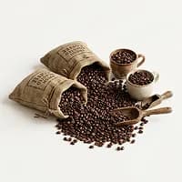 Transporte de café en grano — carga agroindustrial y logística de exportación con Alkeex freight forwarder