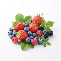 Transporte de frutas y berries — carga perecedera refrigerada y logística de exportación con Alkeex forwarder