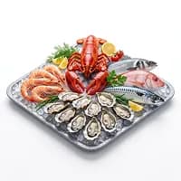 Transporte de mariscos — carga perecedera refrigerada y logística de exportación con Alkeex forwarder